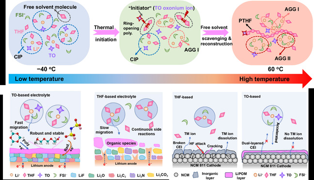 环境与化学工程学院师生在电力储能领域产出多项科研成果和高水平论文